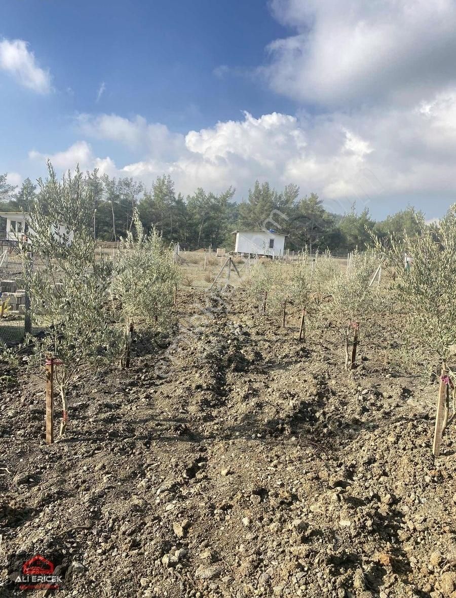 Doğayla İç İçe Sakinlik Arayanlara Rahat Ulaşıma Sahip Bahçeler - Görsel 11