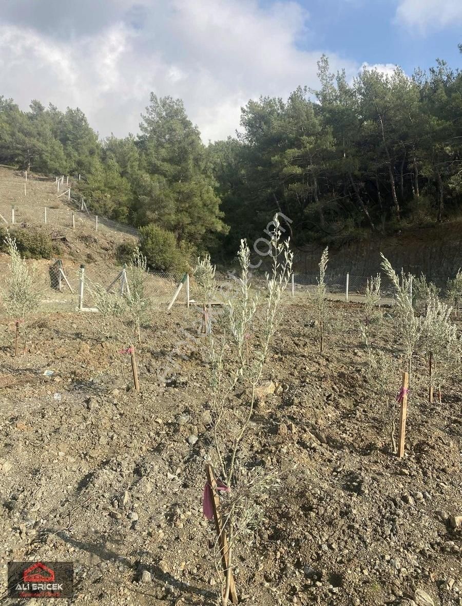 Doğayla İç İçe Sakinlik Arayanlara Rahat Ulaşıma Sahip Bahçeler - Görsel 12