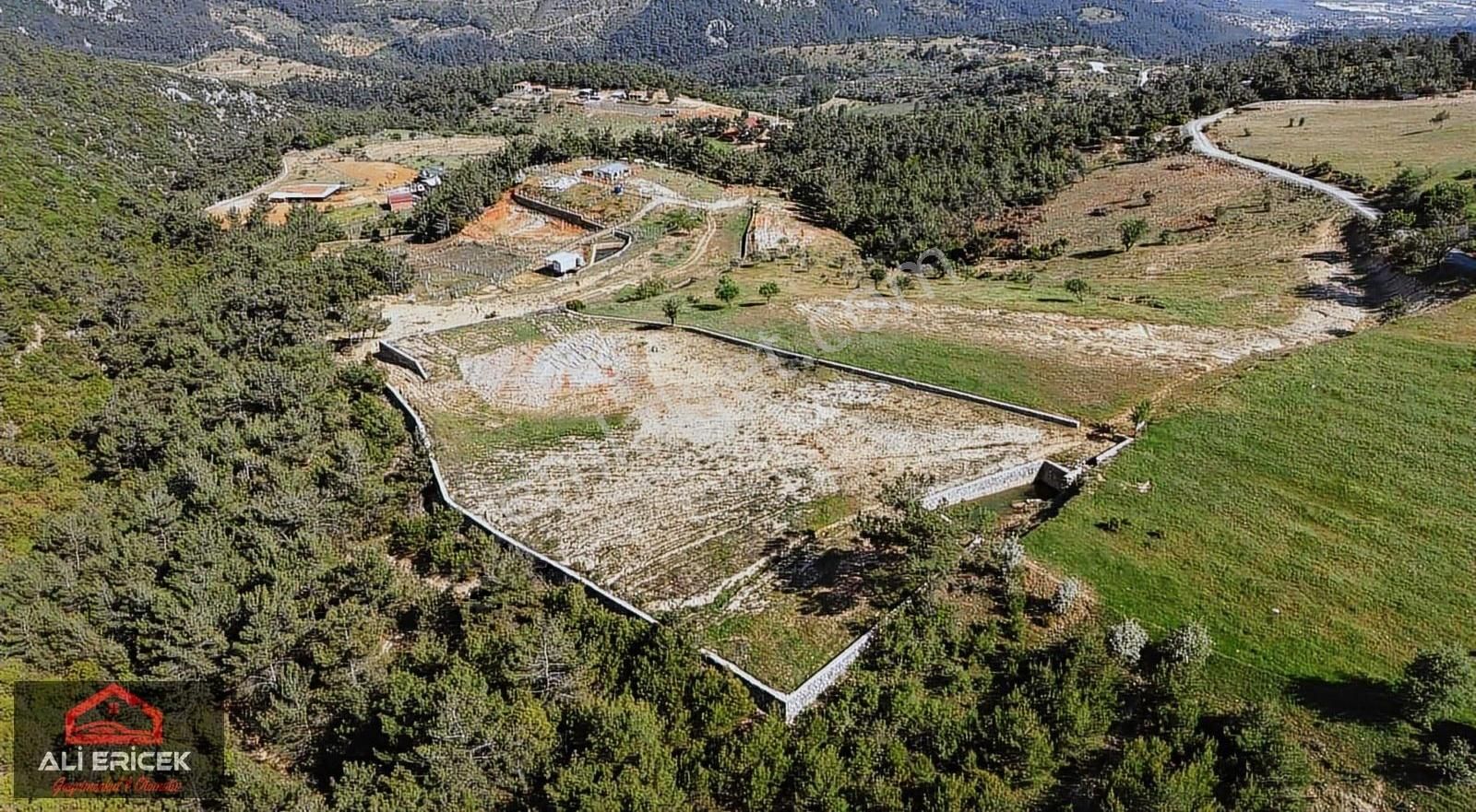 Damlacık Ta Tek Tapu Müstakil Parsel