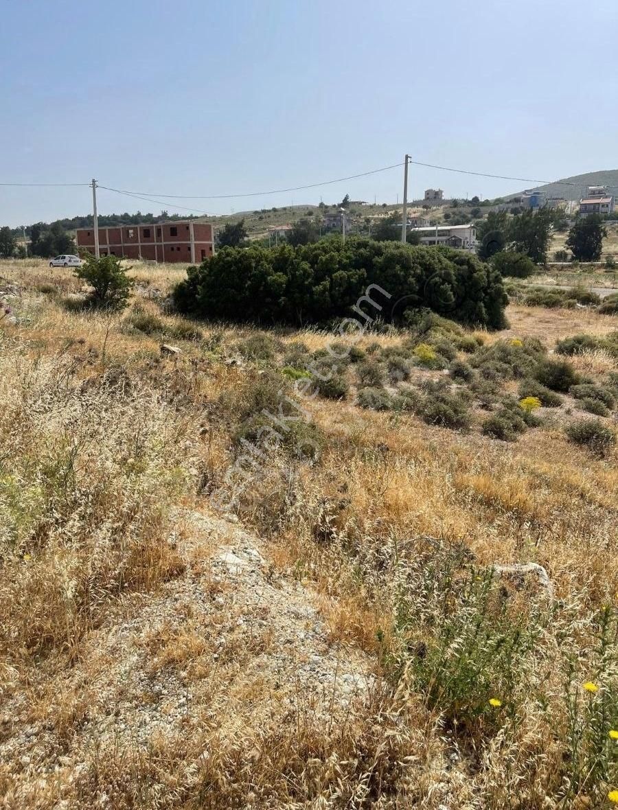 Foça Gerenköy Anayola Yakın Satılık Arsa - Görsel 12