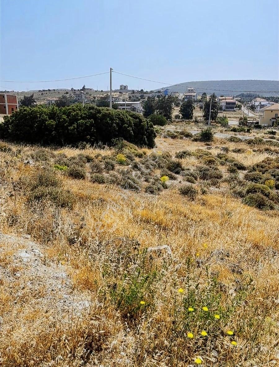 Foça Gerenköy Anayola Yakın Satılık Arsa - Görsel 14