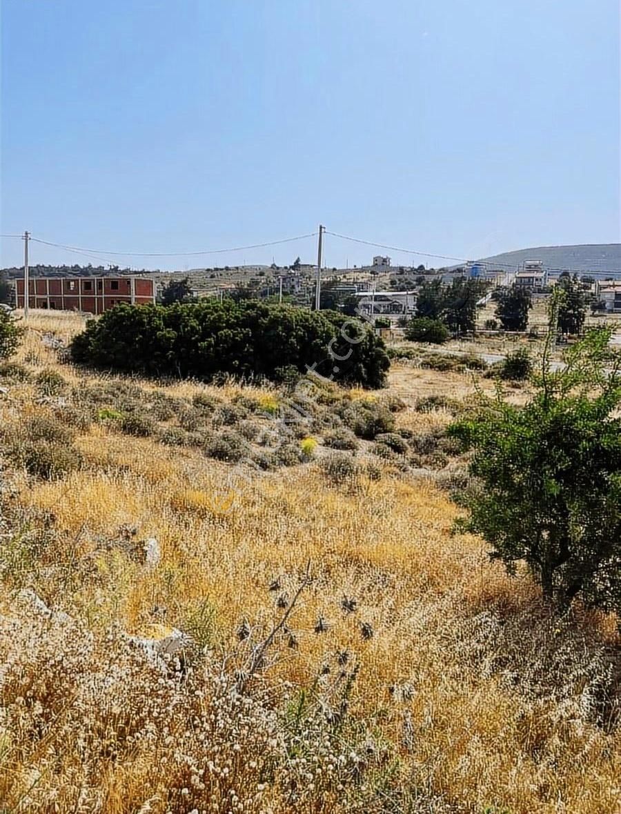 Foça Gerenköy Anayola Yakın Satılık Arsa - Görsel 15