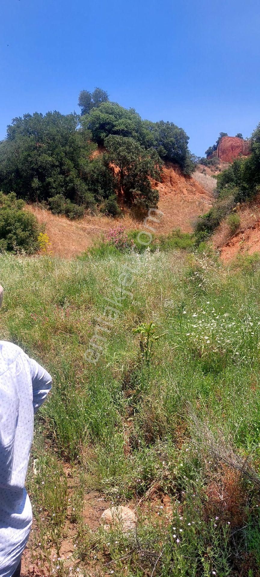 Zeytin Ve İncir Dikimine Uygun Verimli Arazi - Görsel 9
