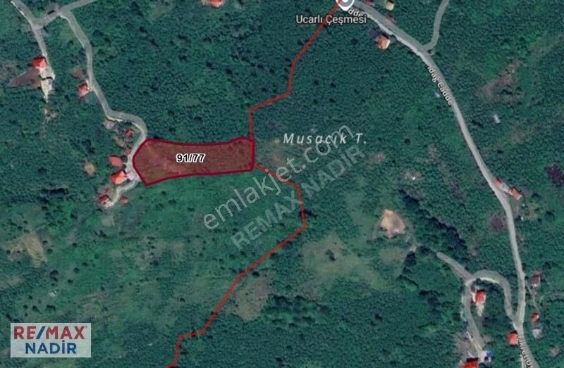 Remax Nadir'den Bulancak İsmetpaşa Mahallesinde Fındık Bahçesi