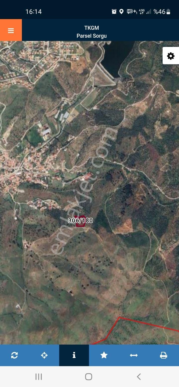 Ulamıs Mahallesi Satılık Zeytinlik