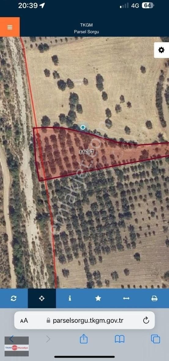 Bahadır'da 6 Dönüm Zeytinlik Arsa! Yatırım Fırsatı!