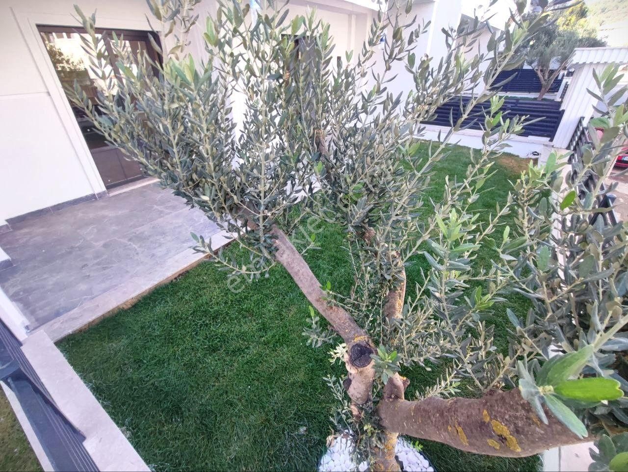 Akçay'da Aygül'den Sıfır Müstakil Tadında Geniş Bahçe Kullanımlı Ultra Lüks Ferah Satılık 1+1 Daire