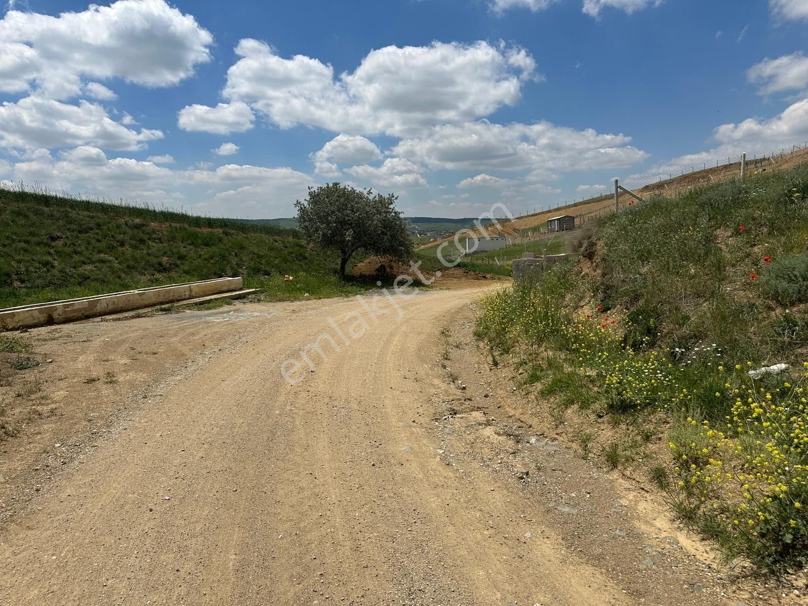 Akyurt Merkeze 1 Km Elektrik Su Var İmarin Dibinde