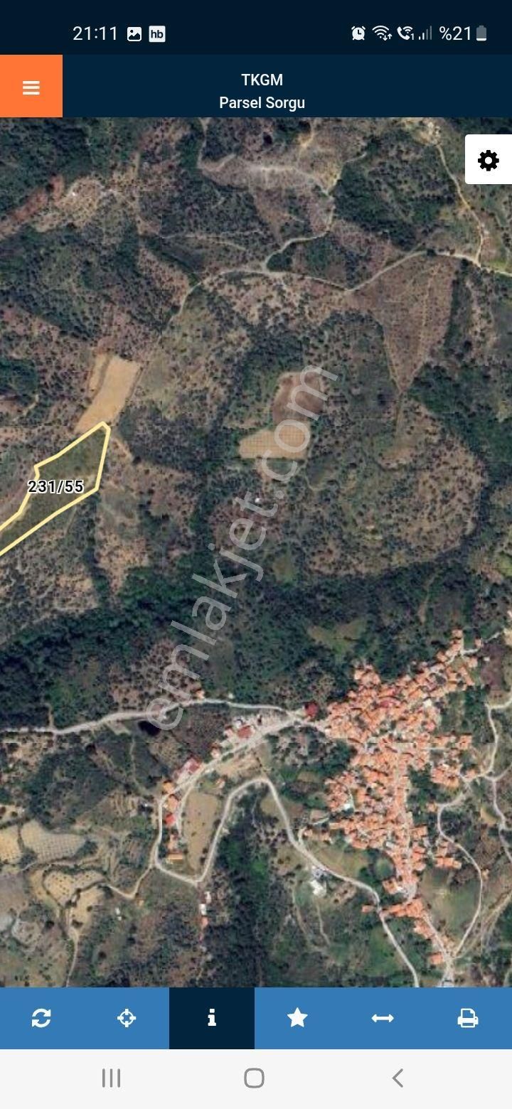 Satılık Zeytinlik