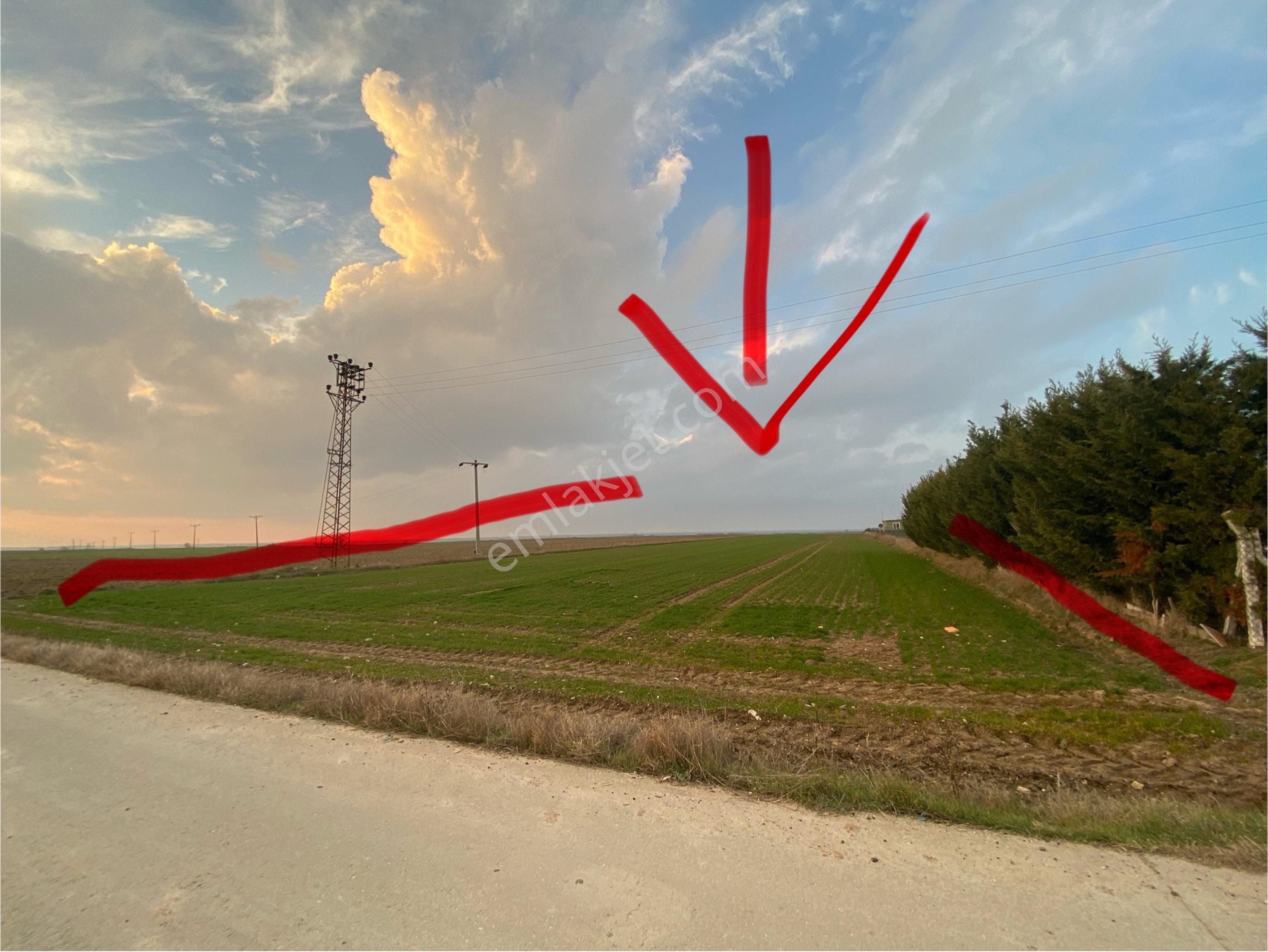 Sahibinden Acil Satılık Ekili Tarla