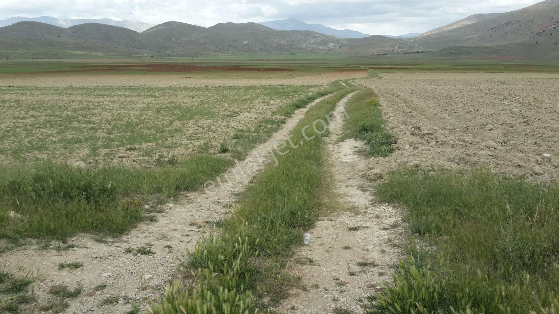 Sahibinden Satılık-5000.m2-otobana Yakın-araba Ev Takas Olur - Görsel 5