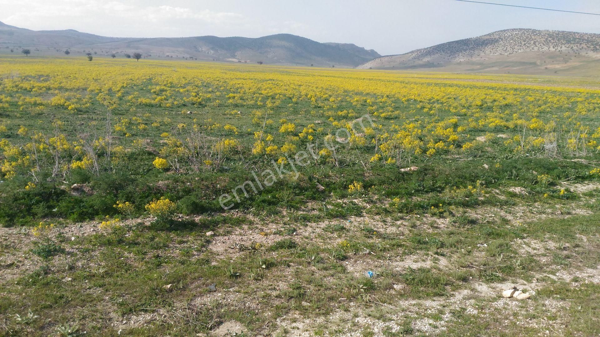 Sahibinden Satılık-5000.m2-otobana Yakın-araba Ev Takas Olur - Görsel 8