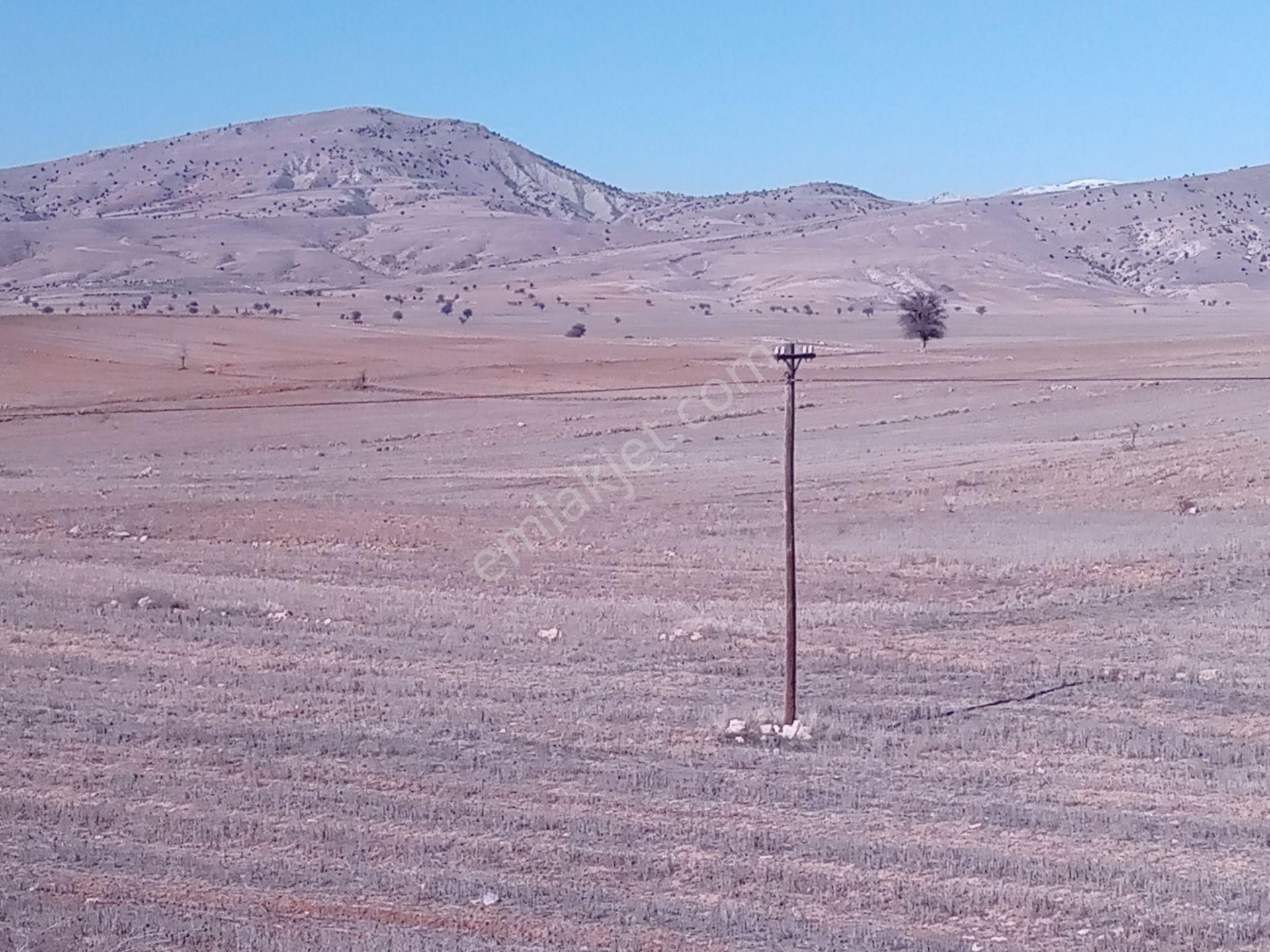 Sahibinden Satılık-5000.m2-otobana Yakın-araba Ev Takas Olur - Görsel 10