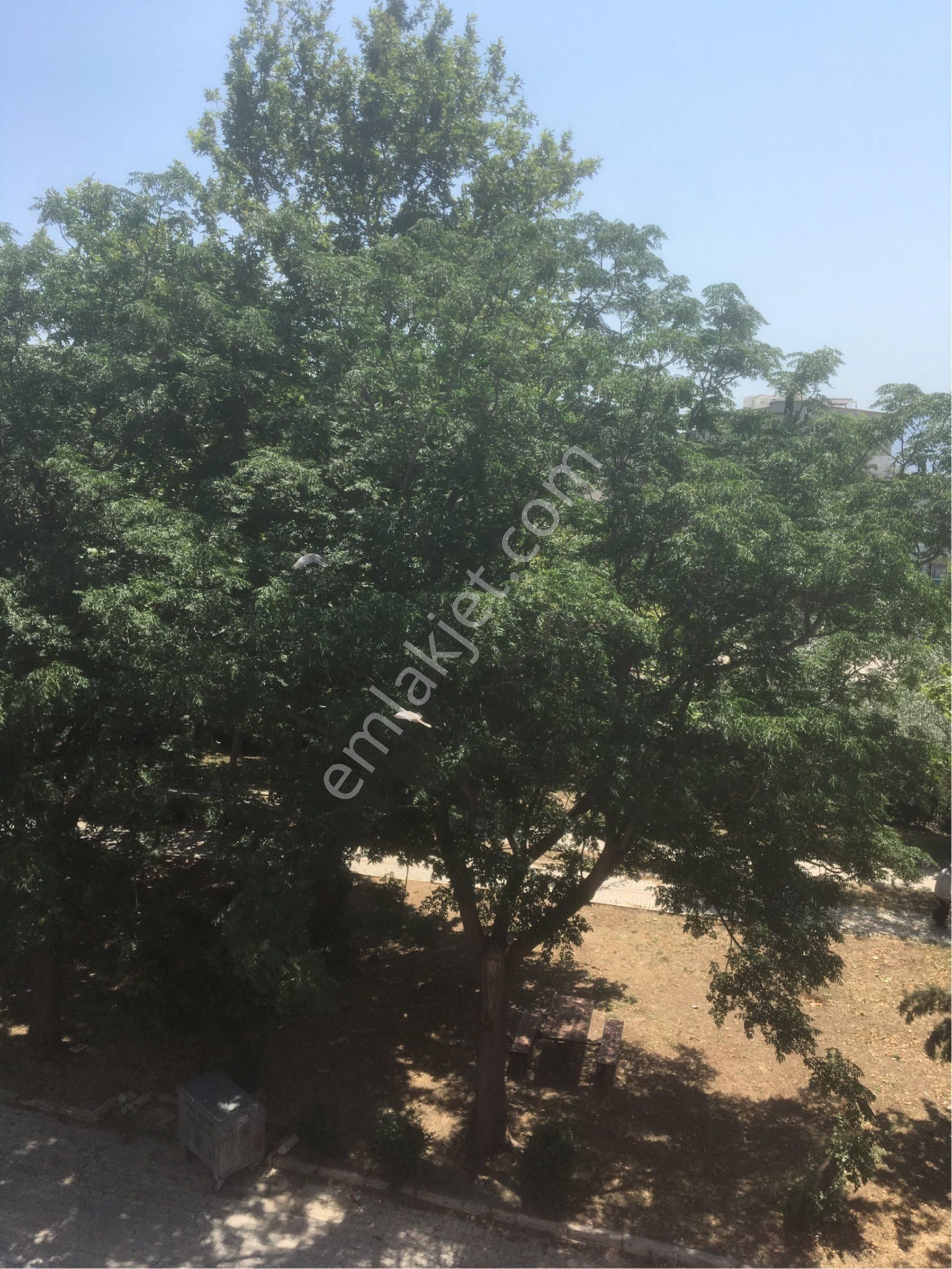 Sertaçgayri Menkul Den İki Artı Bir Arakat - Görsel 8