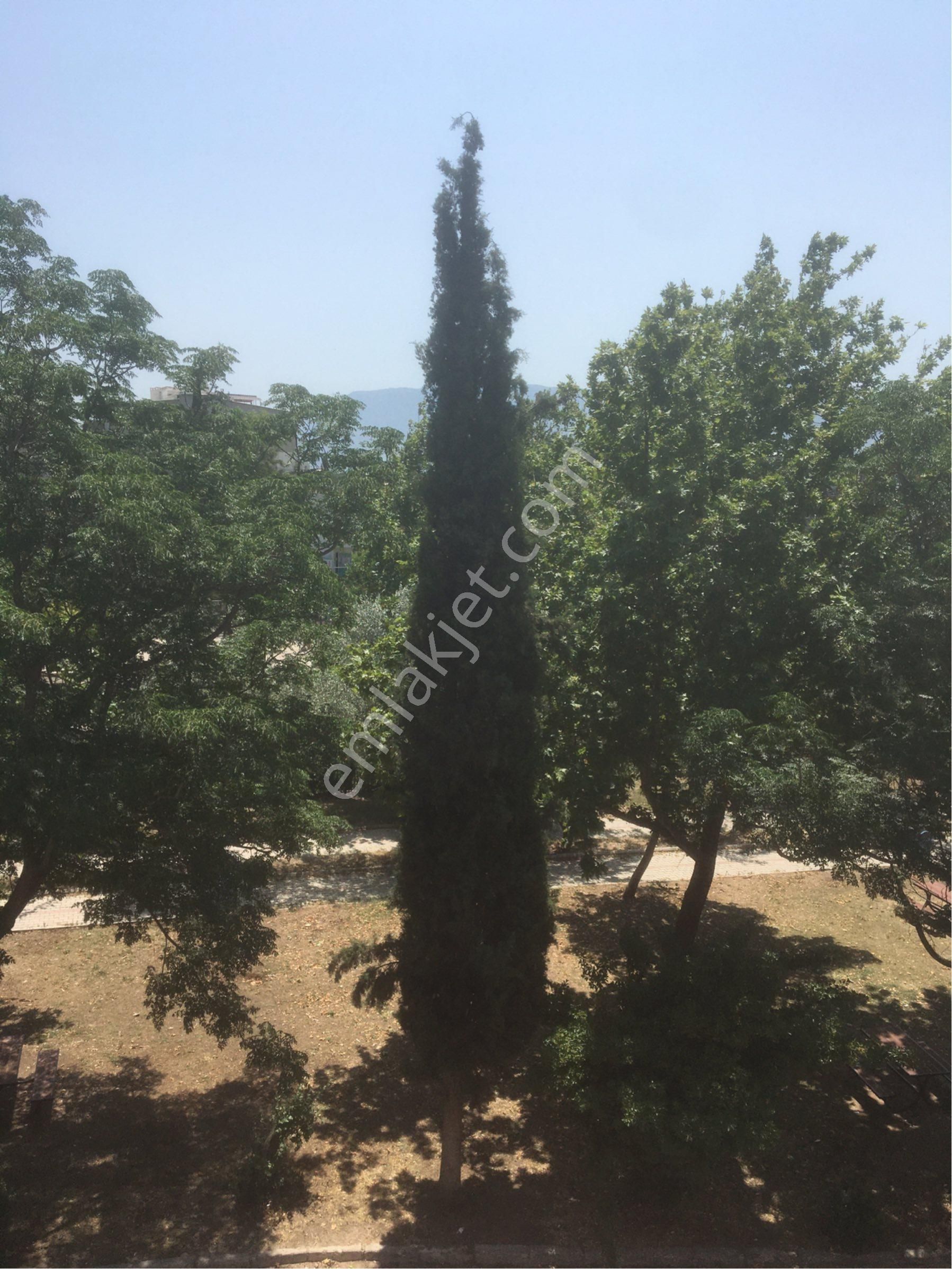 Sertaçgayri Menkul Den İki Artı Bir Arakat - Görsel 21