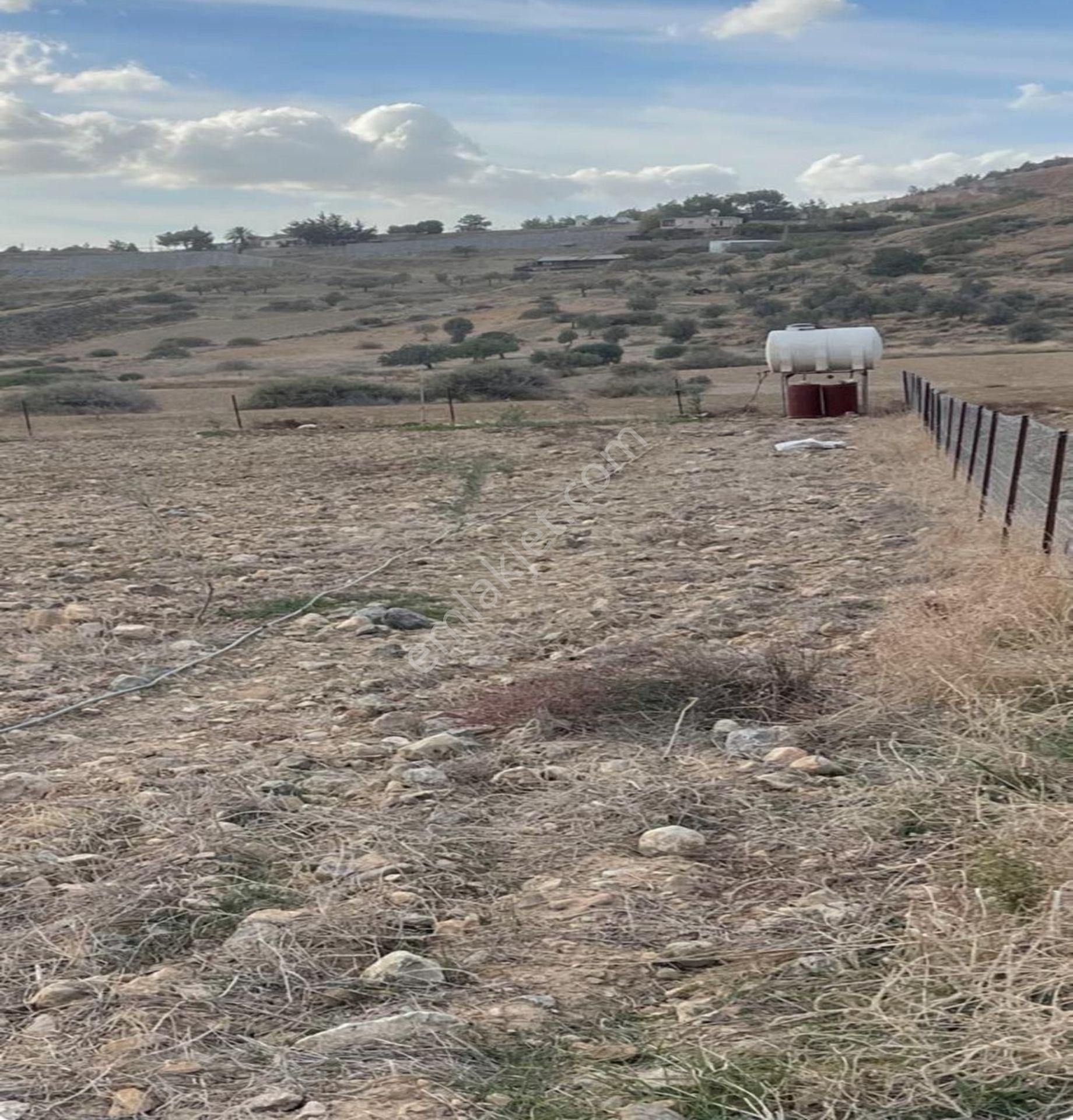Güngör De 14.700 M2 Çok Bakımlı Hobi Bahçesi