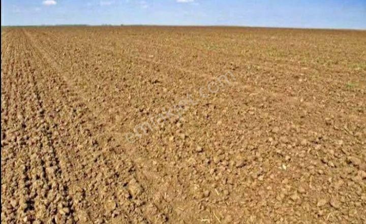 Zinciderede 6000m2 Satılık Tarla