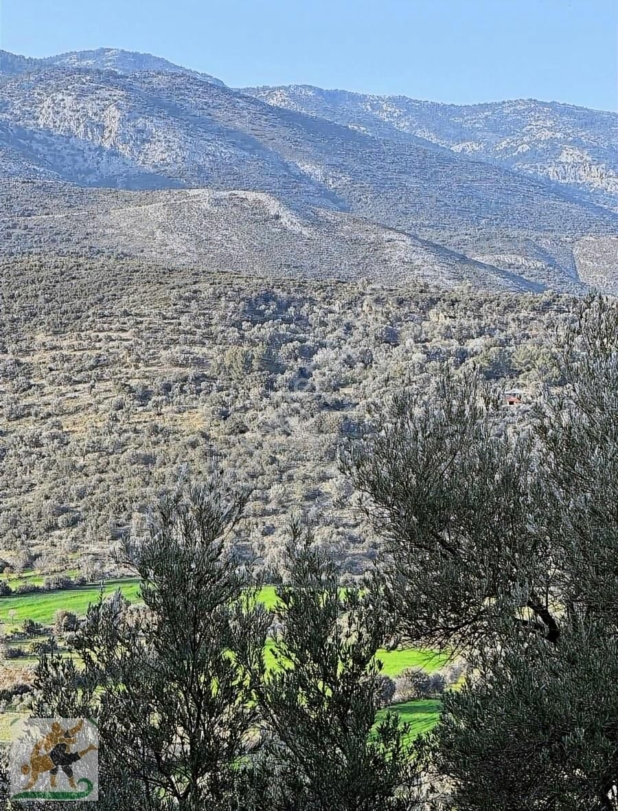 Fethiye Seydikemer Dodurga 500 M2 2b Parseller Satılık