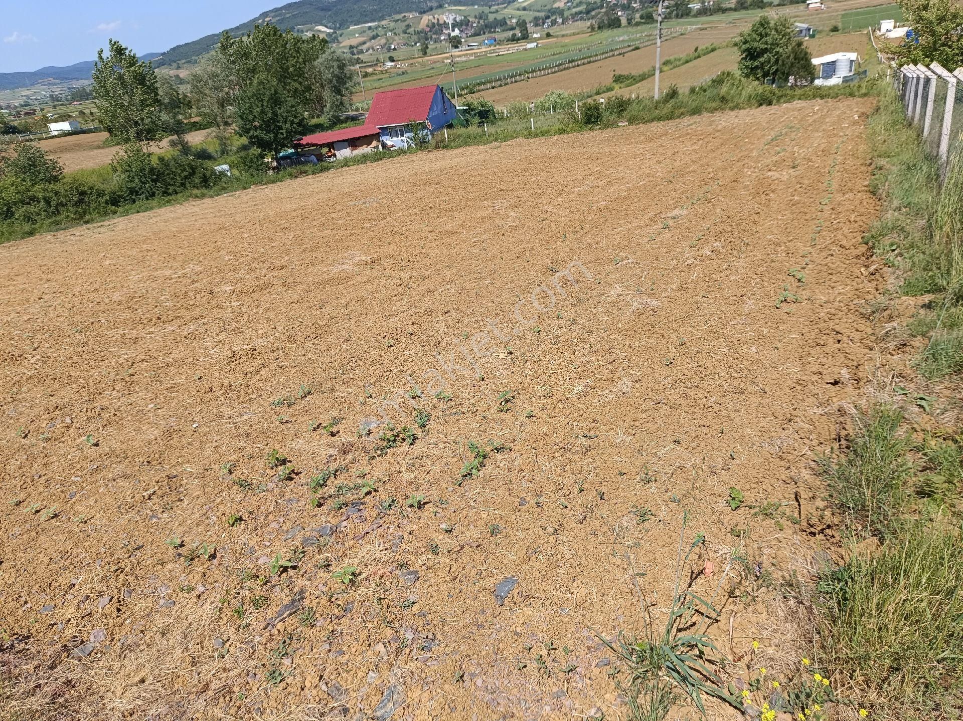 Körfez Cumaköy De Fırsat Tarla