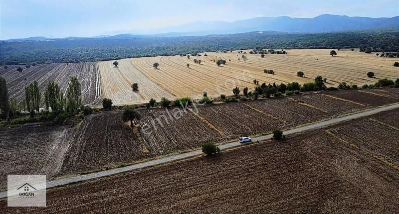Nallıhanda 2 Dönüm Tek Tapu Kadastro Yolu Yanında Satılık Tarla