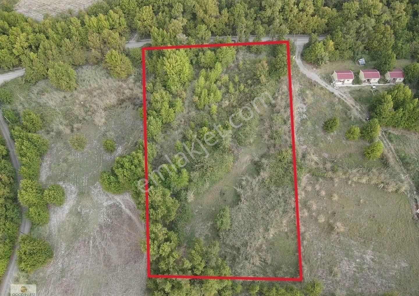 Köyceğiz Döğüşbelen Mah. Doğayla İç İçe Yatırımlık 500 M2 2b Tarla Satılık