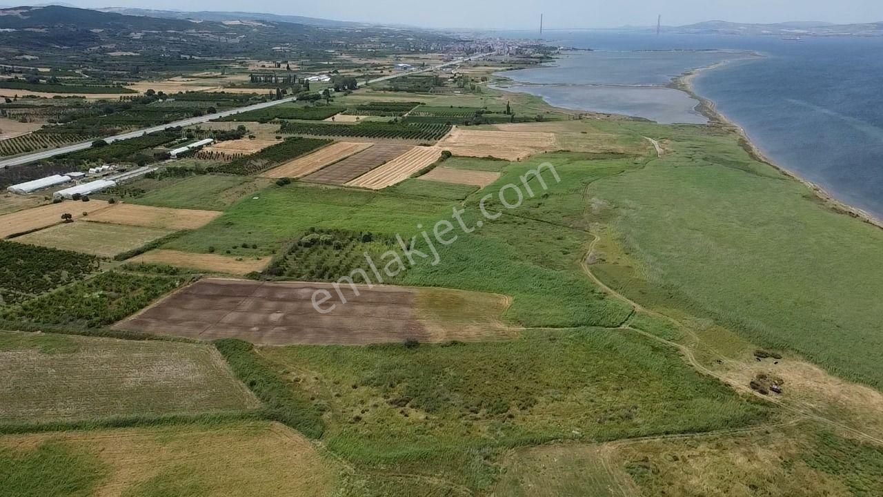 Çanakkale Lapseki Çardak 9410 M2 Satılık Arazi Denize 140 M.