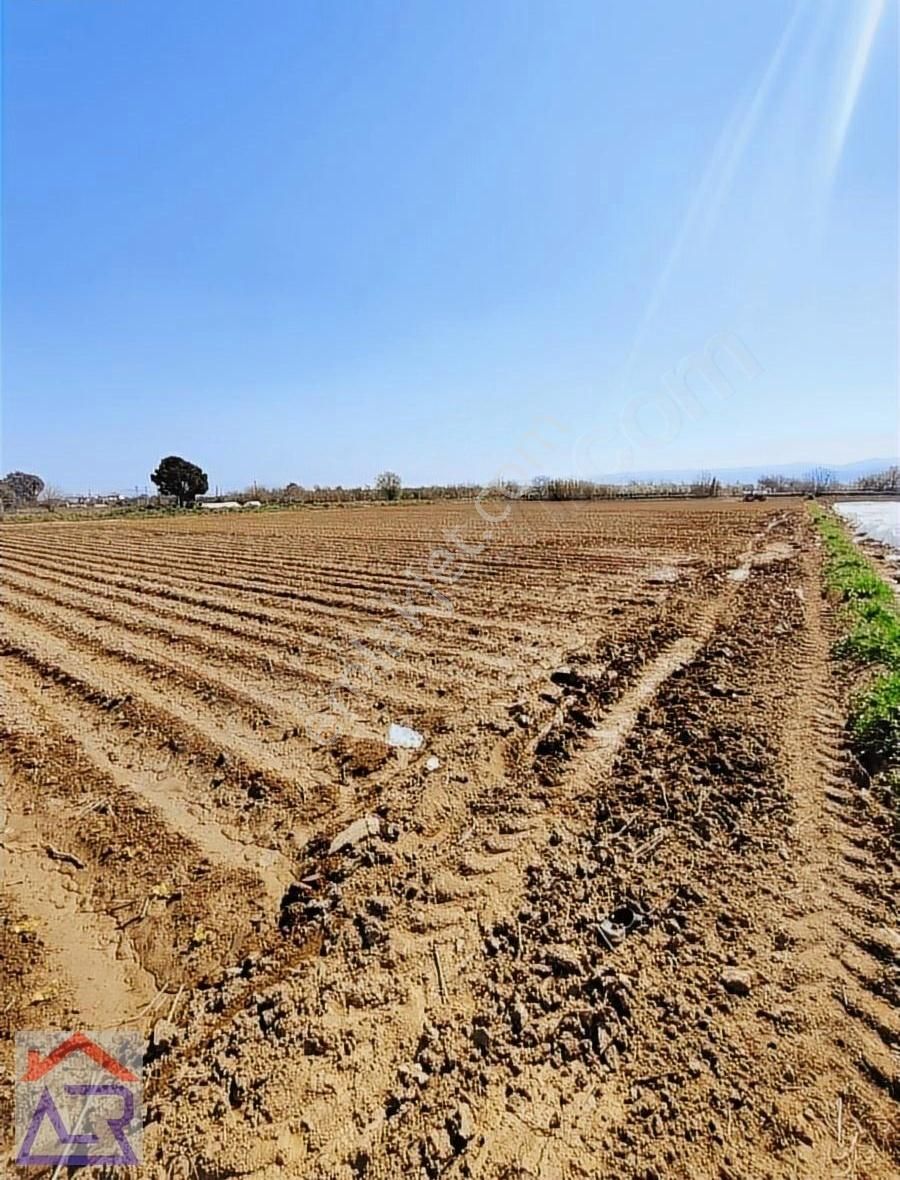 Yerleşime Yakın Konumda 9625m2 Elektrik Suyu Olan Tarla