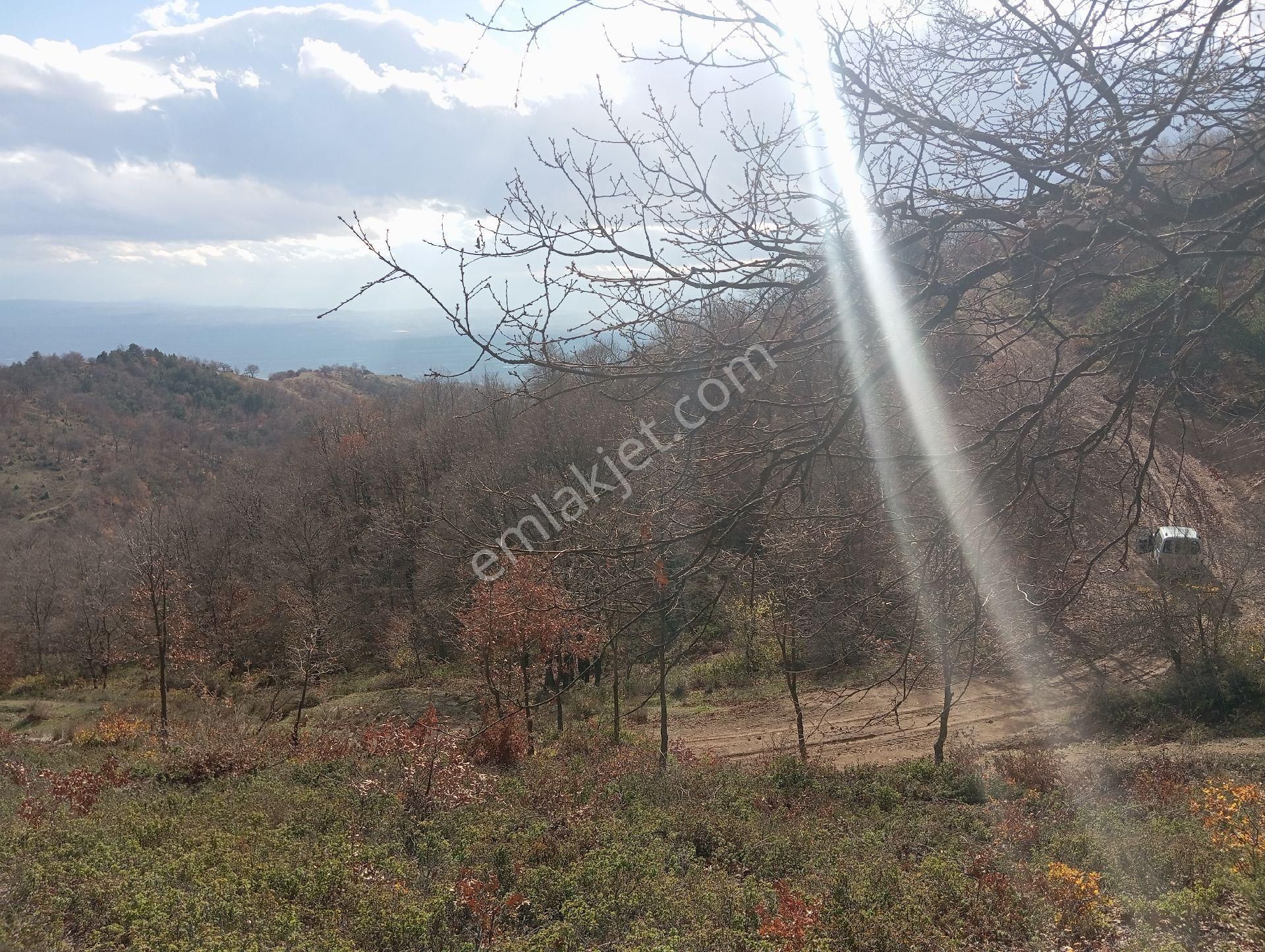 Birikim Ve Yatırım İçin Uygun Arazı