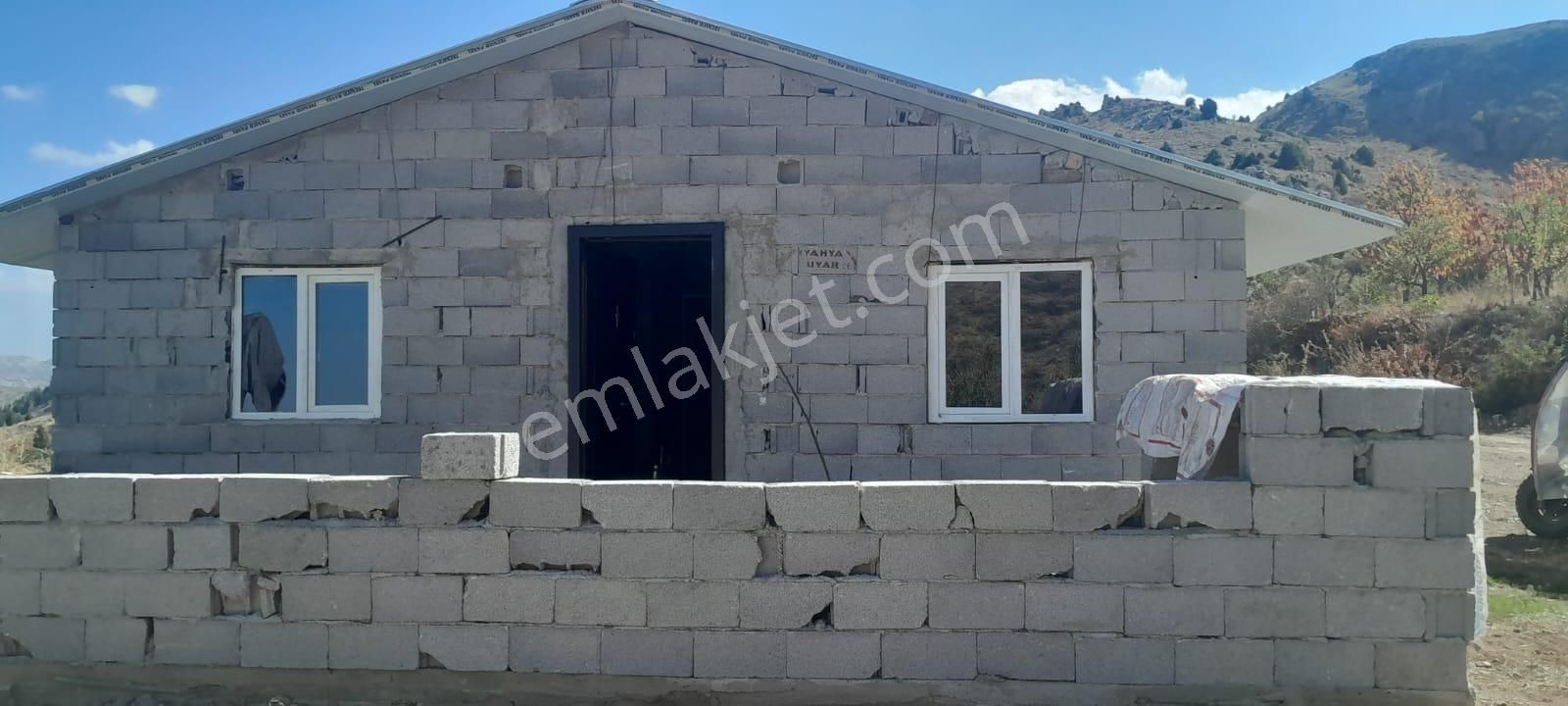 Taşkent Avşar Savcılar Köyü 13000m2 Aronya Bahçesi