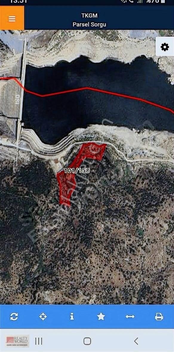Aydın Çine Söğütçükde Fırsat Zeytinli Tarla. - Görsel 3