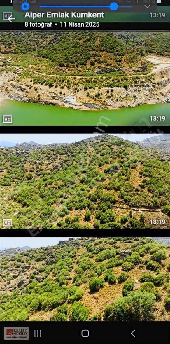 Aydın Çine Söğütçükde Fırsat Zeytinli Tarla. - Görsel 2