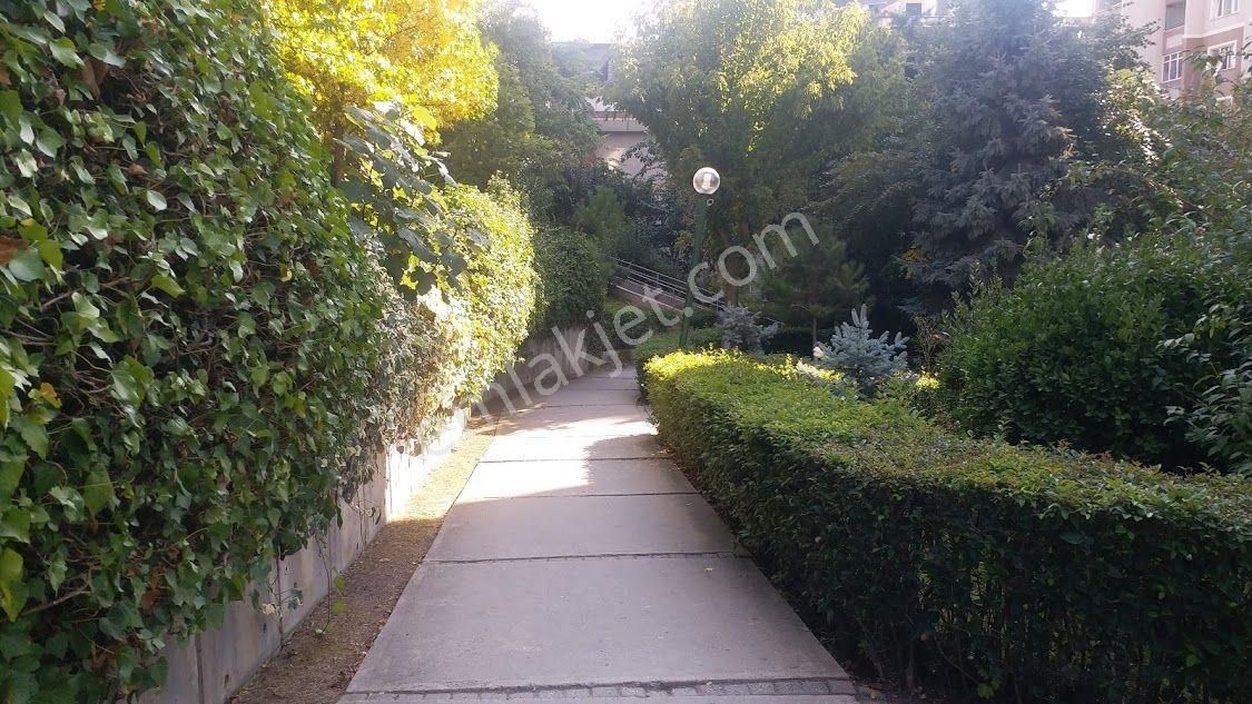 Küçükçekmece Atakent 2.etap Arenapark A Yakın Full Eşyalı Temiz Kiralık 1+1 50m2 Daire