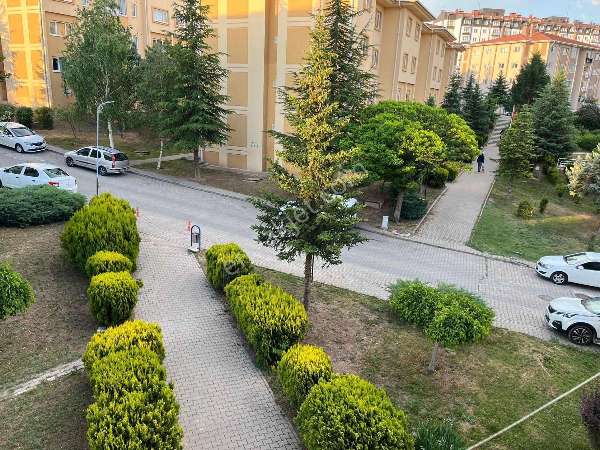 Ihlamurkent Toki Personel Konutları 3+1 Daire