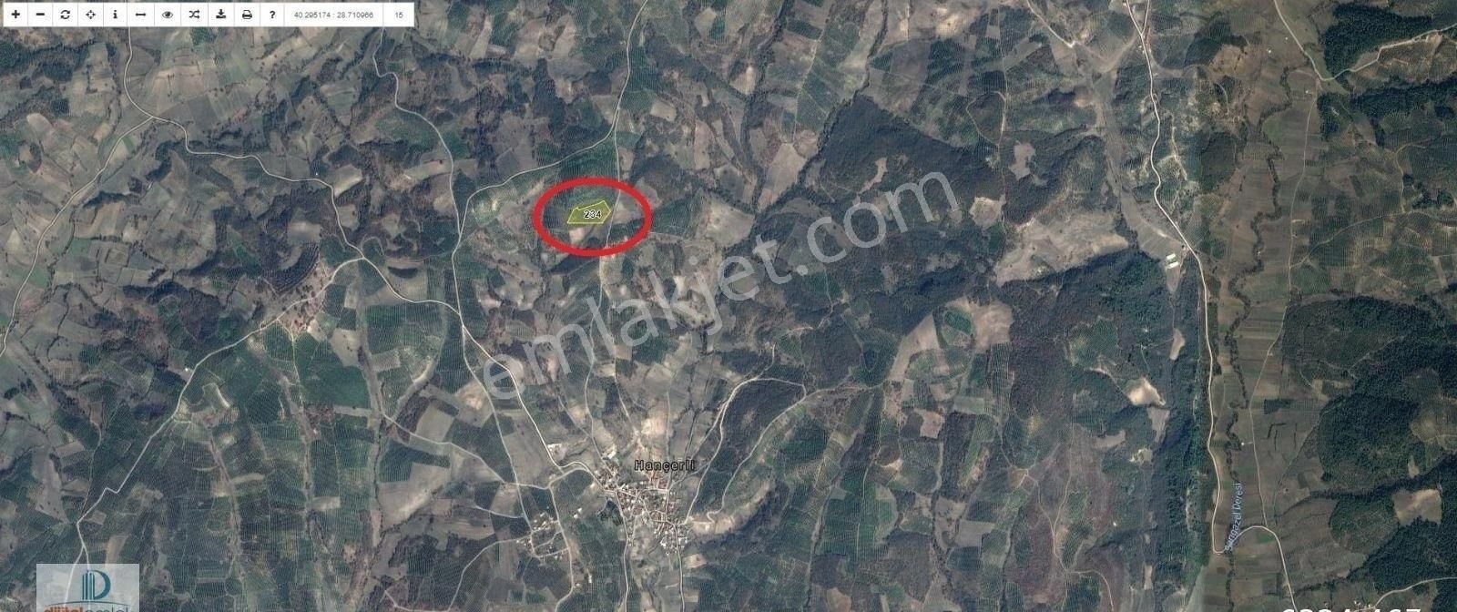 Mudanya Hançerli'de Köye Yakın Yatırımlık Satılık 14 Dönüm Zeytinlik. - Görsel 3
