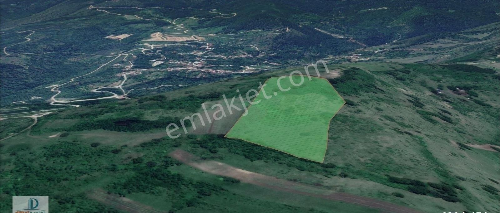 Bursa İnegöl Hayriye Köyünde 25.400 M2 Satılık Elma Bahçesi - Görsel 7