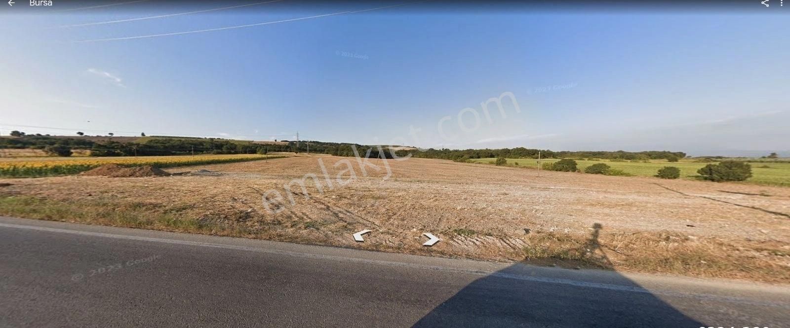 Nilüfer Çatalağıl'da Asfalta Cephe Satılık 41 Dönüm Kıymetli Ara - Görsel 8