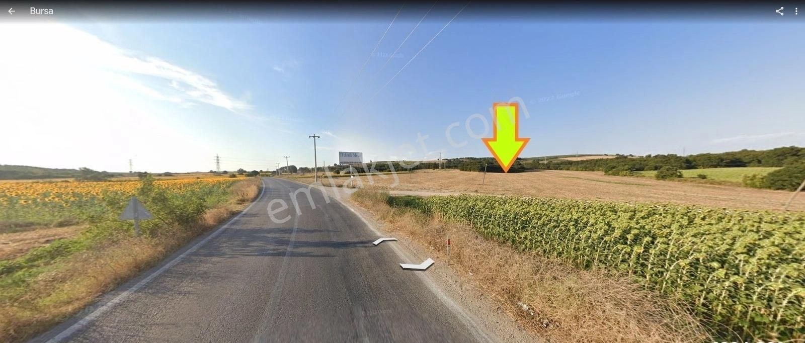 Nilüfer Çatalağıl'da Asfalta Cephe Satılık 41 Dönüm Kıymetli Ara - Görsel 11