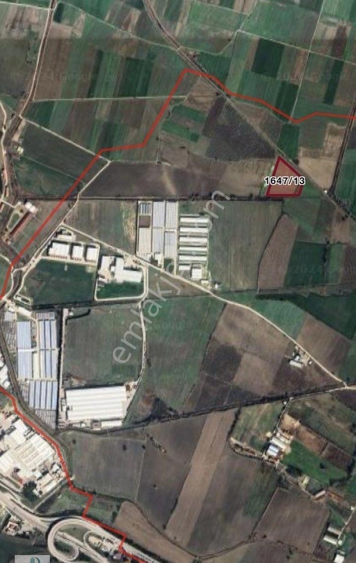 Dijitalemlak’tan Mk Paşa Atariyede İmar Bitişiği Satılık15.5 Dönüm Kıymetli Arazi. - Görsel 7