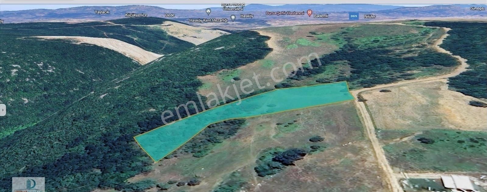 Dijitalemlak'tan Nilüfer İnegazide Köye Yakın Yola Cephe 6 Dönüm Satılık Manzaralı Kıymetli Tarla. - Görsel 16