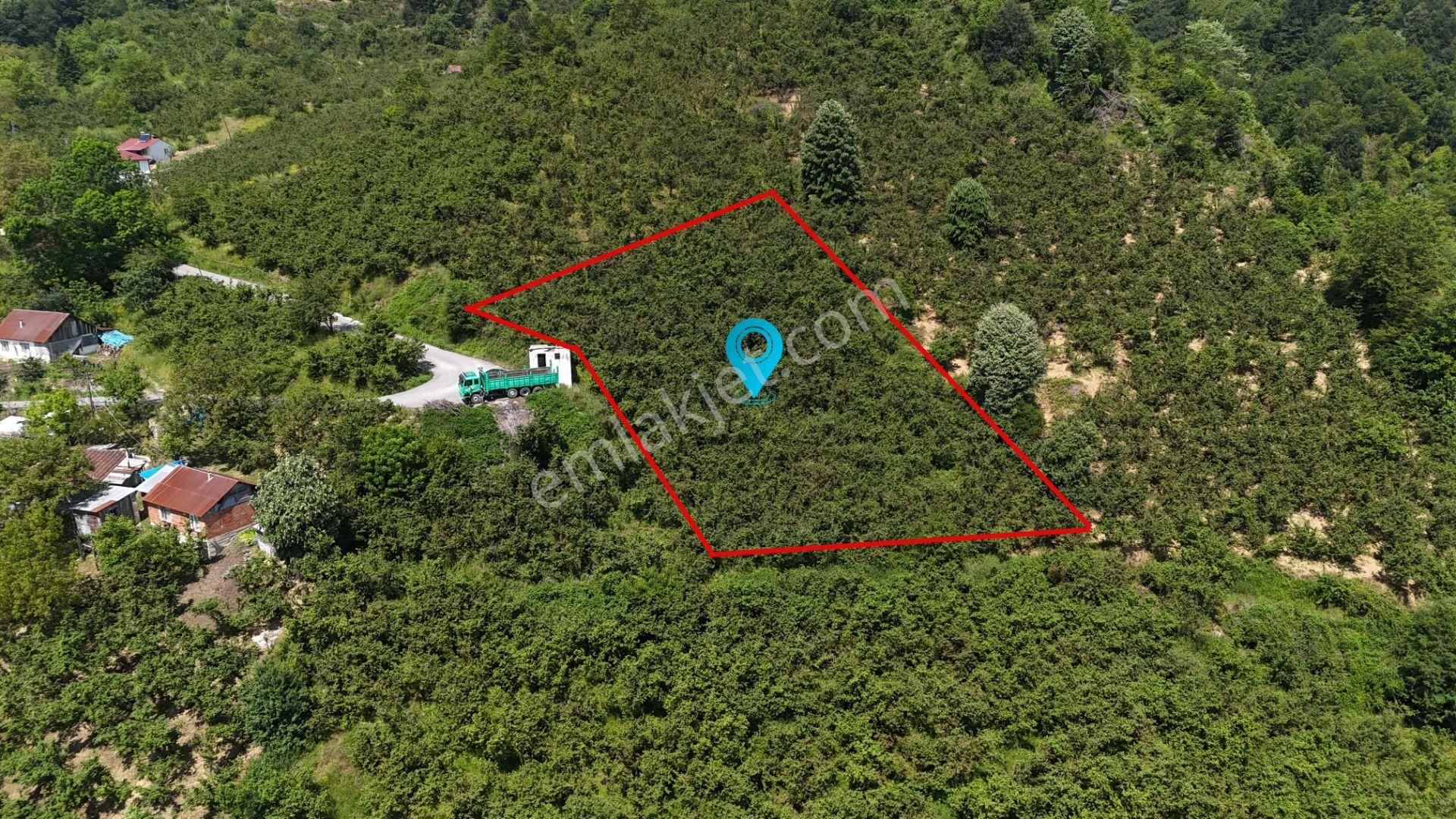 Metsa'dan Uğur Köyünde Satılık 4000 M2 Fındıklık Tarla