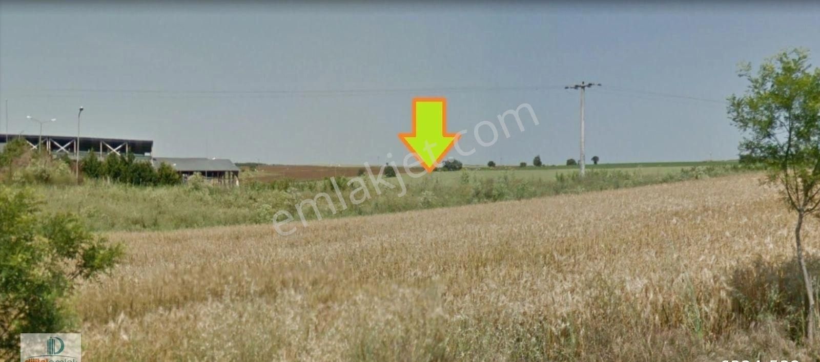 Bandırma Yolunda Fevzipaşa'da 30 Dönüm Satılık Kıymetli Arazi.