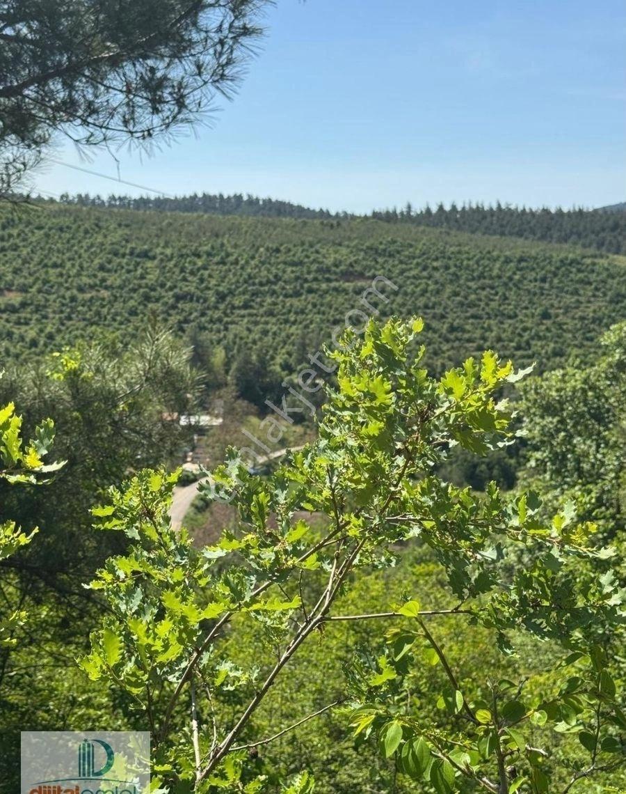 Dijitalemlak'tan Orhaneli Çınarcık Köyünde Ful Manzaralı Yola Cephe 8.680 M2 Satılık Kıymetli Arazi - Görsel 14
