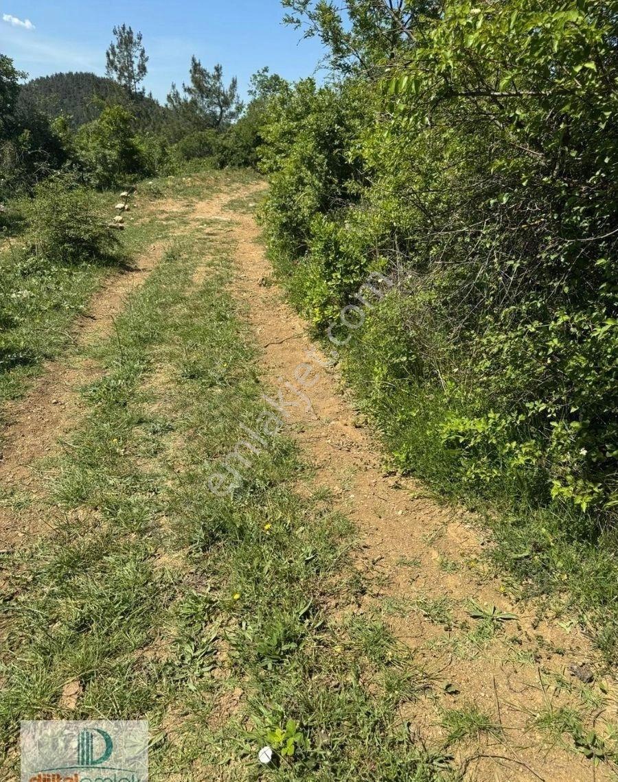 Dijitalemlak'tan Orhaneli Çınarcık Köyünde Ful Manzaralı Yola Cephe 8.680 M2 Satılık Kıymetli Arazi - Görsel 7