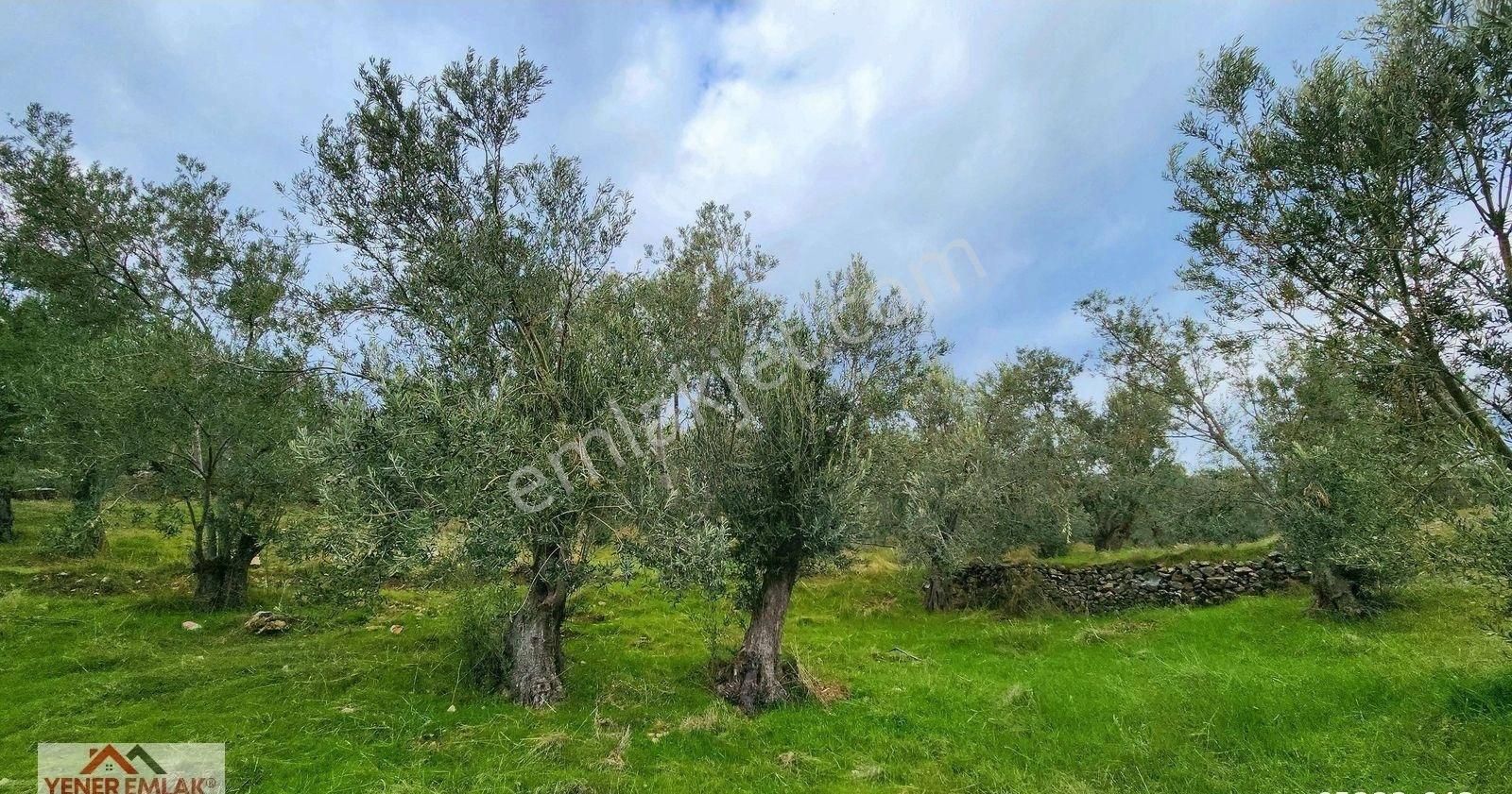 Ortaoba Yolunda Manzaralı ▒ Kadastral Yola Çift Cepheli ▒2.870m2