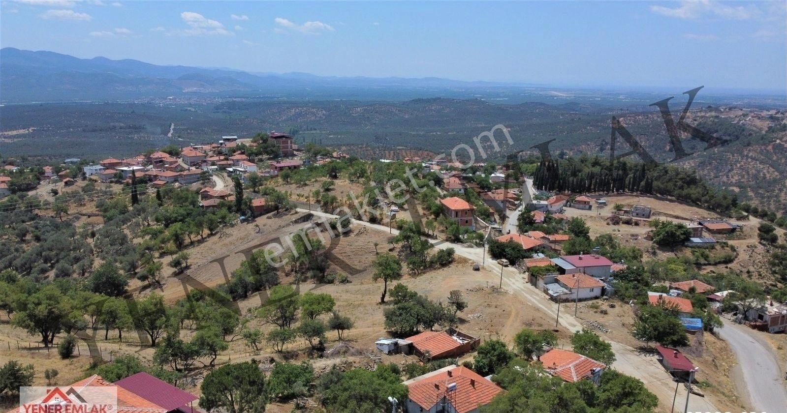 Yener Emlak'tan Havran Kalabakta 1.615m2 Fırsat Kelepir Zeytinlik - Görsel 13