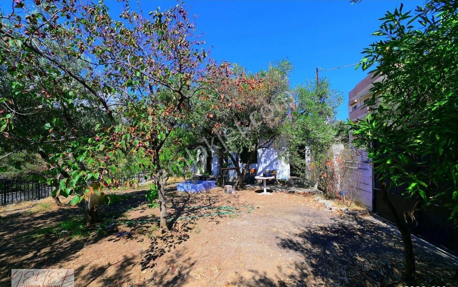 Zeytinlide Hasanboğuldu Yolu Üzeri Çaya Cepheli Ticariye Uygun - Görsel 5