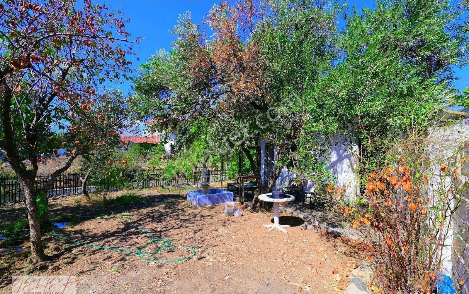 Zeytinlide Hasanboğuldu Yolu Üzeri Çaya Cepheli Ticariye Uygun - Görsel 4