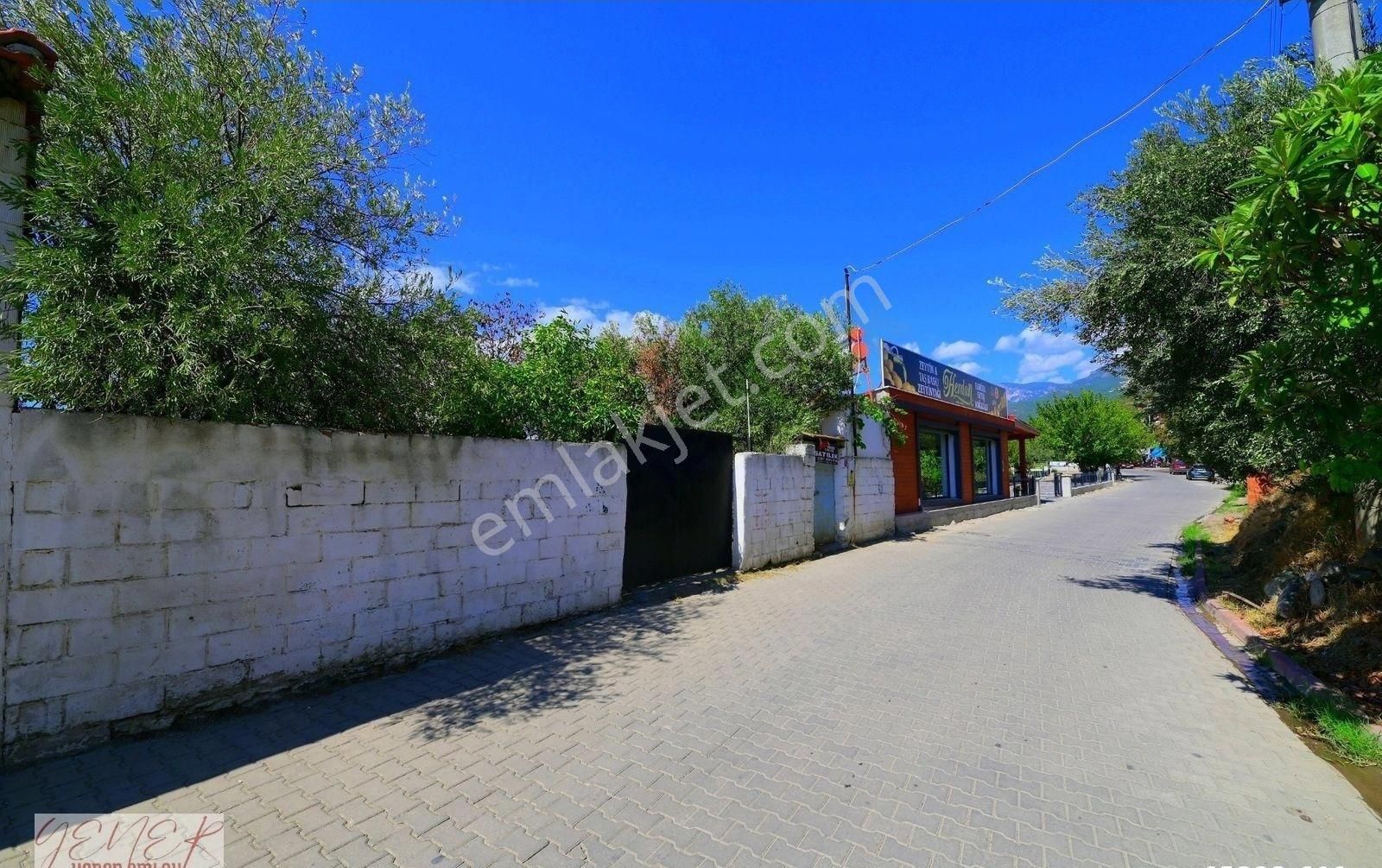 Zeytinlide Hasanboğuldu Yolu Üzeri Çaya Cepheli Ticariye Uygun - Görsel 2