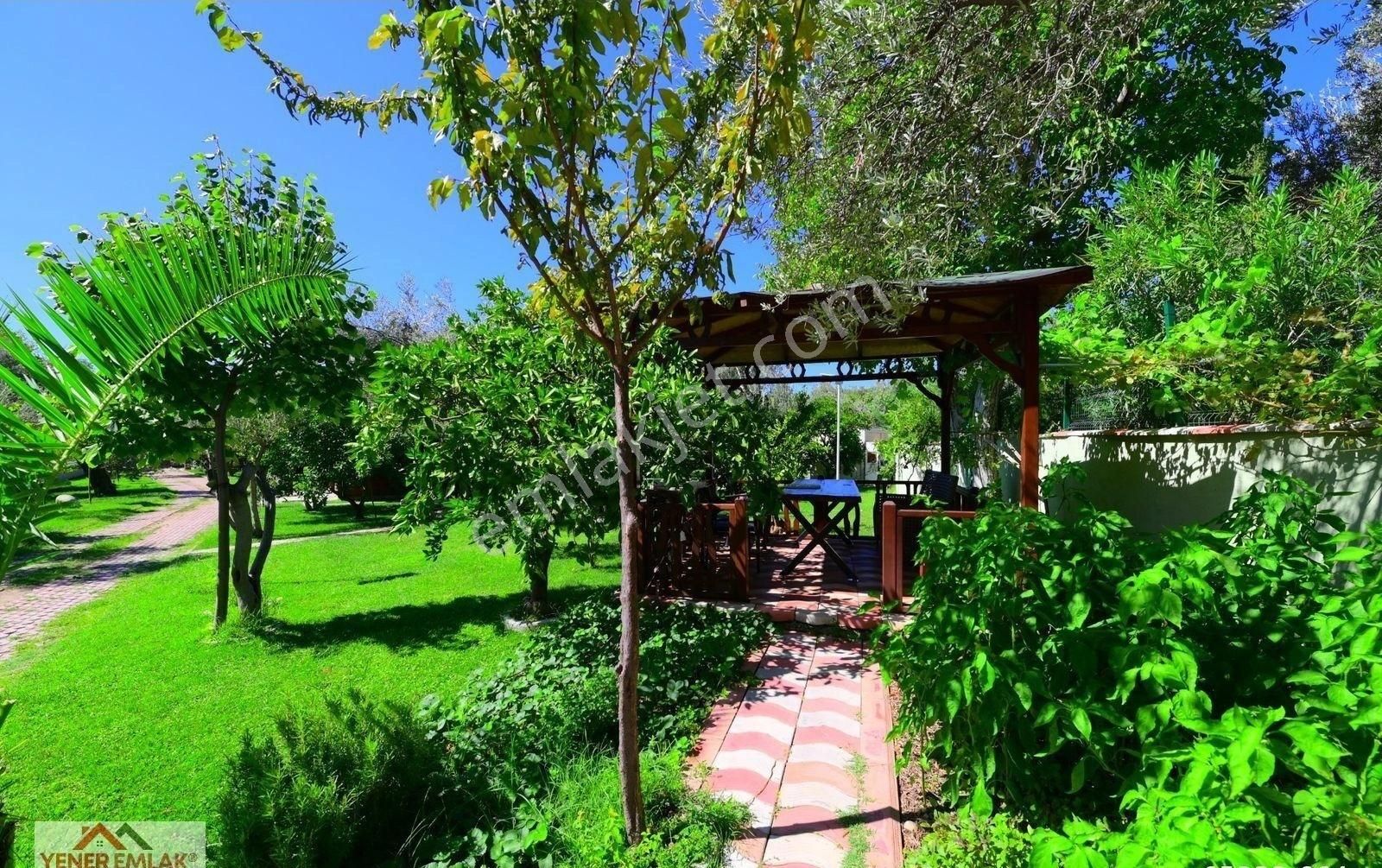 Zeytinli'de ▒ Yatırımlık ▒ Dere Kenarı ▒ Cennetten Köşe Çiftlik - Görsel 9
