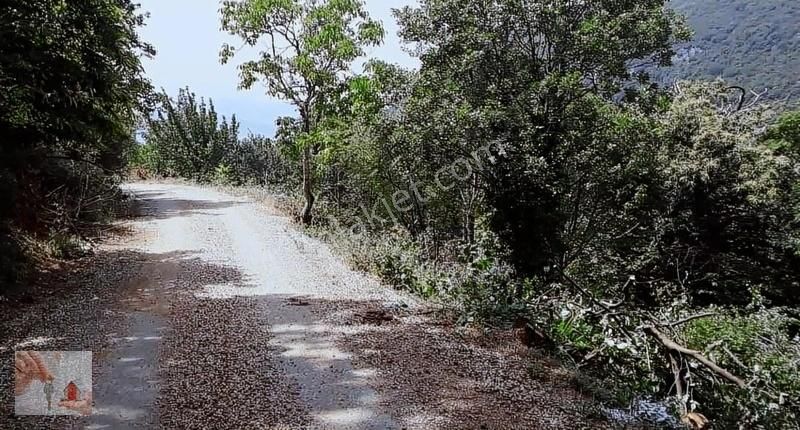Gemlik,şahinyurdunda,köyiçi,yolacepheli Satılık Arsa